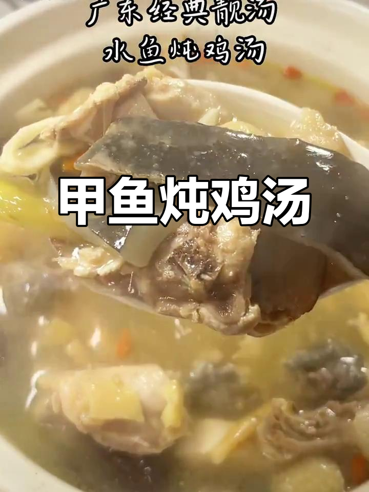 广东甲鱼炖鸡汤，滋补又解压！