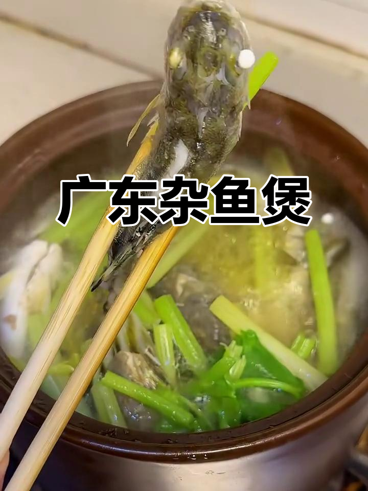 广东风味杂鱼煲,北海特色盐水煮法大揭秘