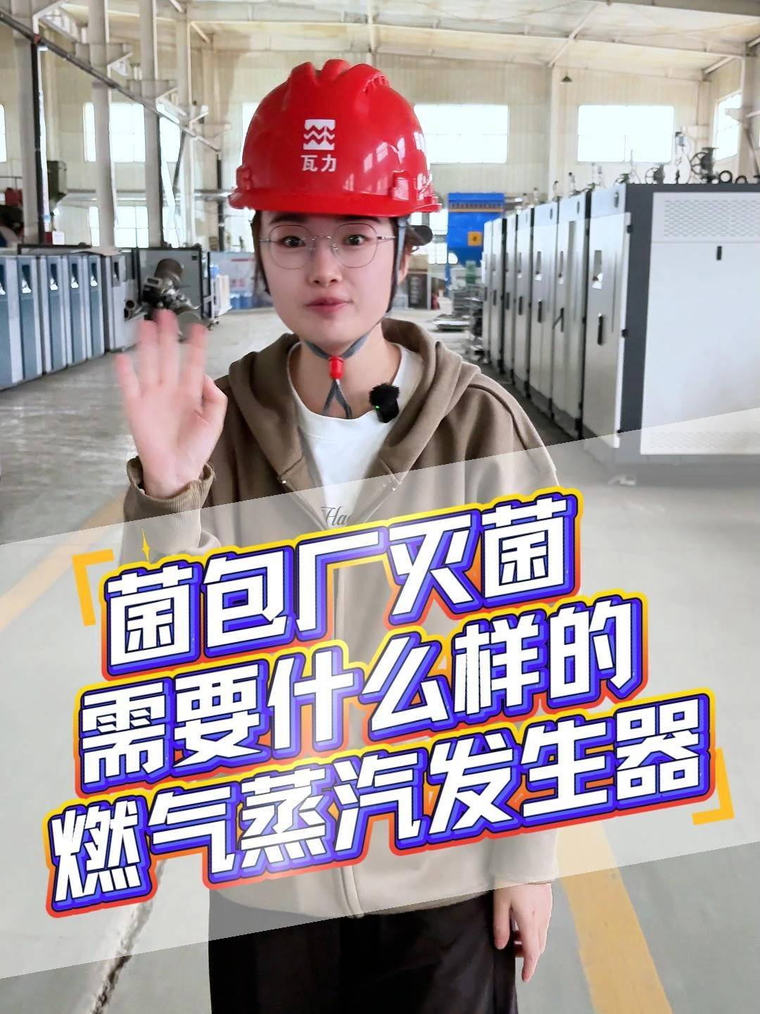 菌包厂灭菌指南!燃气蒸汽发生器