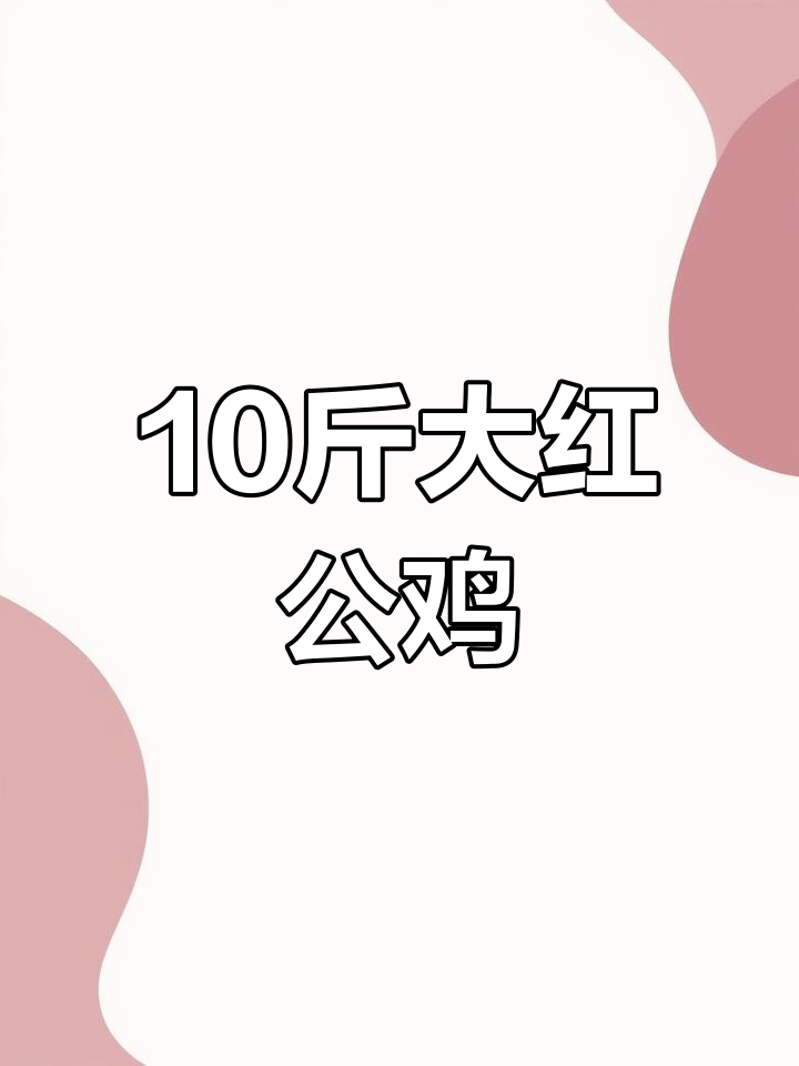 红玉380鸡苗:十斤大红公鸡,疫苗注射全程记录