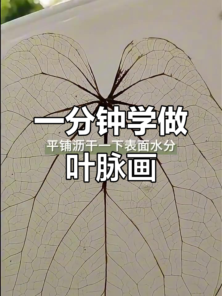 轻松制作植物叶脉标本,步骤超简单