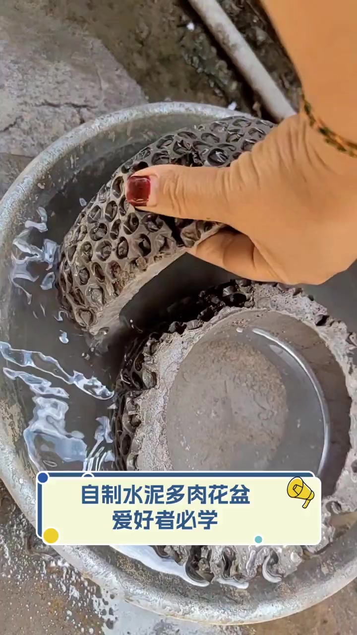 自制水泥多肉花盆,爱好者必学