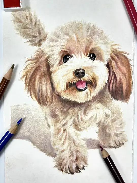 彩铅小狗画法