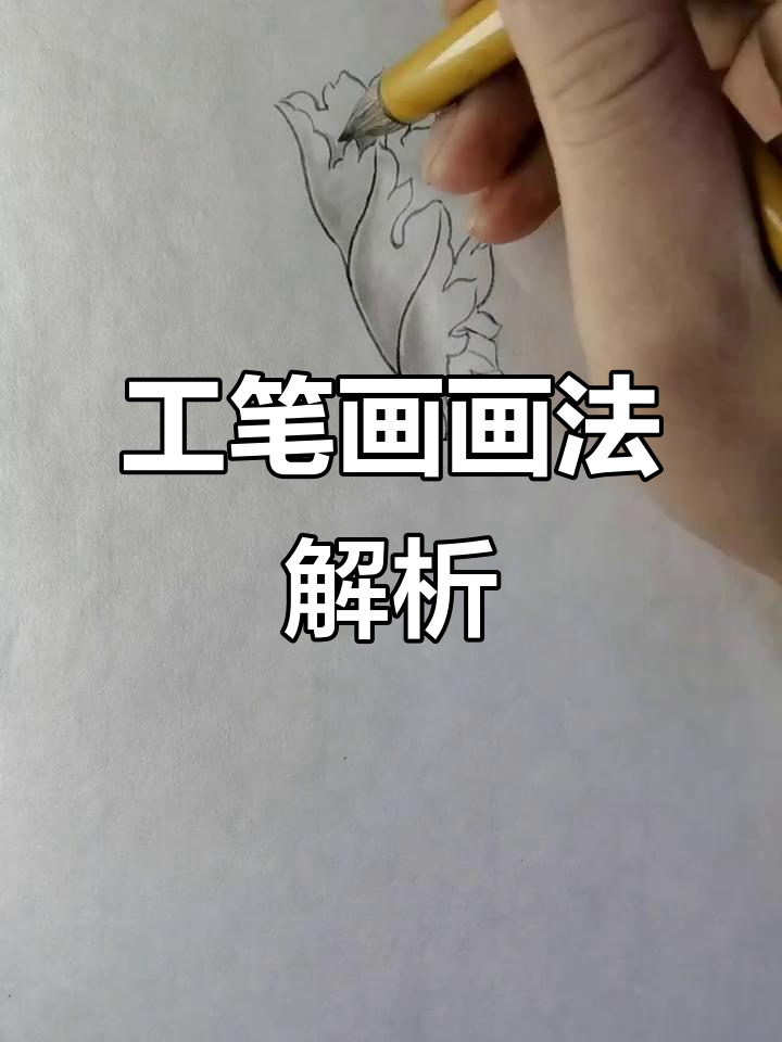 工笔画上色技巧大揭秘,如何轻松画出栩栩如生的菊花叶