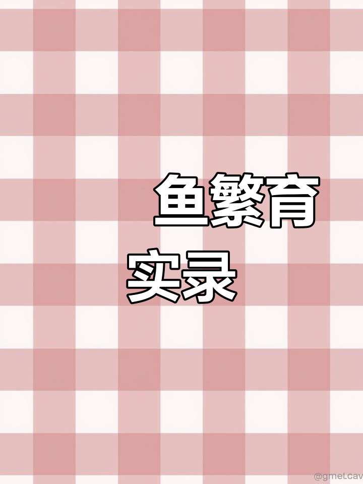 鳑鲏鱼人工繁殖全过程:从受精到起飞的成功记录