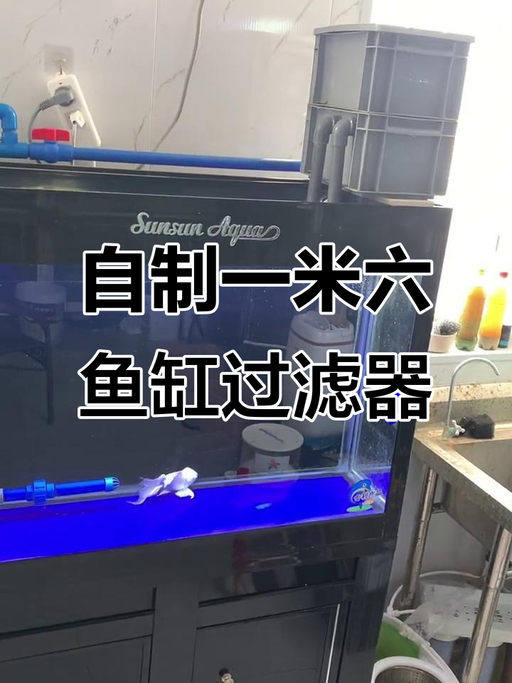 一米六鱼缸改造,自制周转箱过滤系统