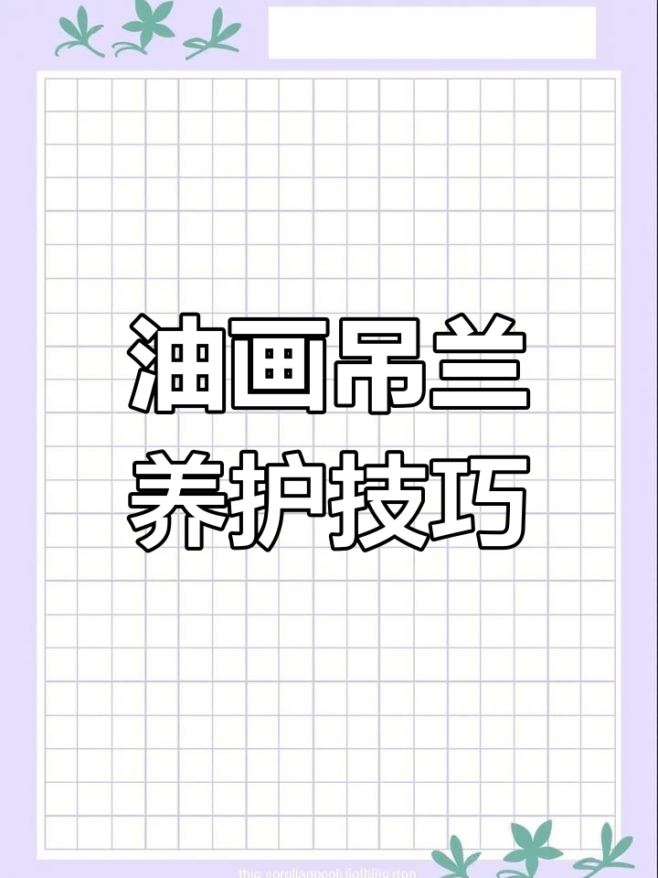 油画婚礼吊兰养护秘籍:控水与修剪是关键