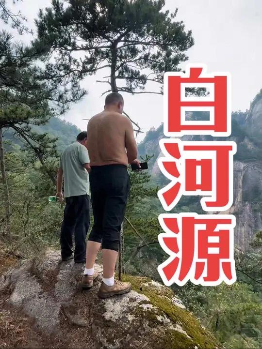 白河源头的大叶百合真是一种不错的植物,海拔千米的嵩县上庄坪风光和特产并存!
