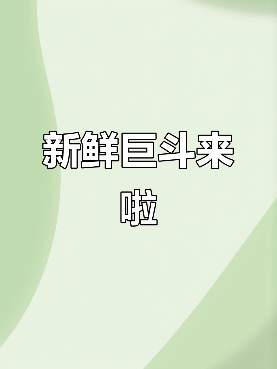 巨型斗鱼新鲜到货,糖果星盒颜色超美