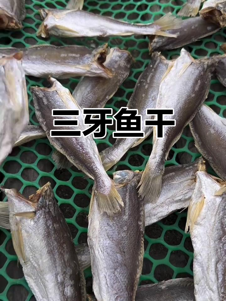 湛江特产三牙鱼,天然海捕美味干货