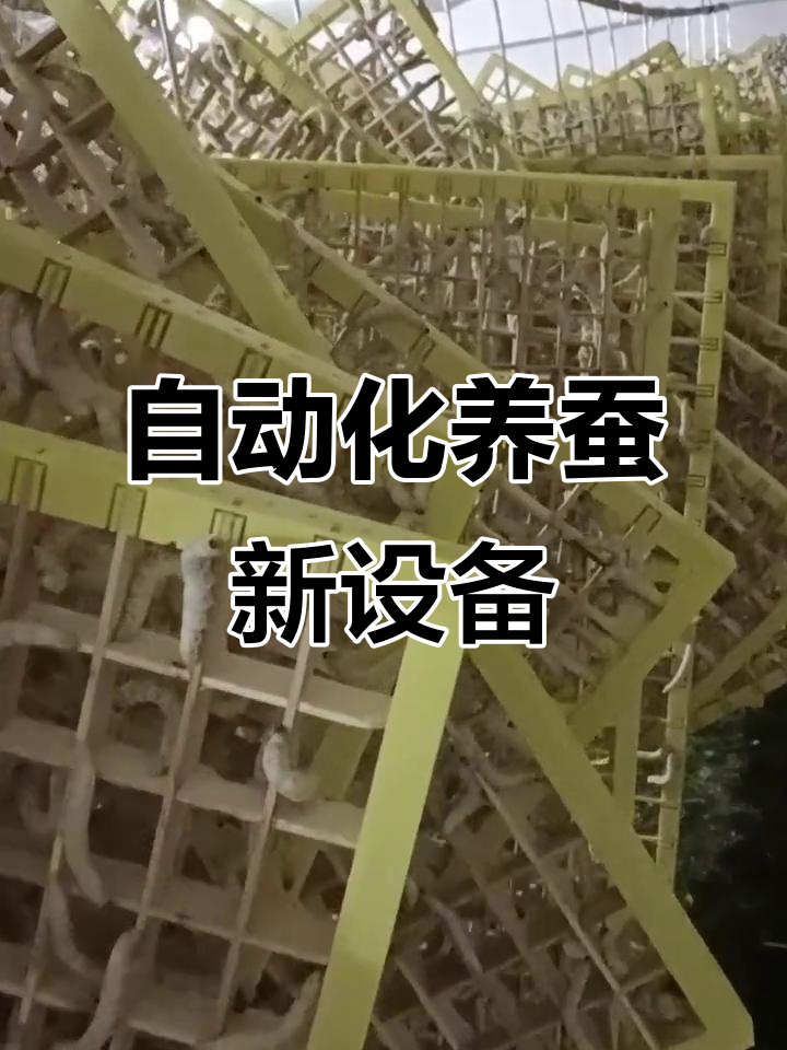 自动旋转木方格簇,养蚕更轻松有序