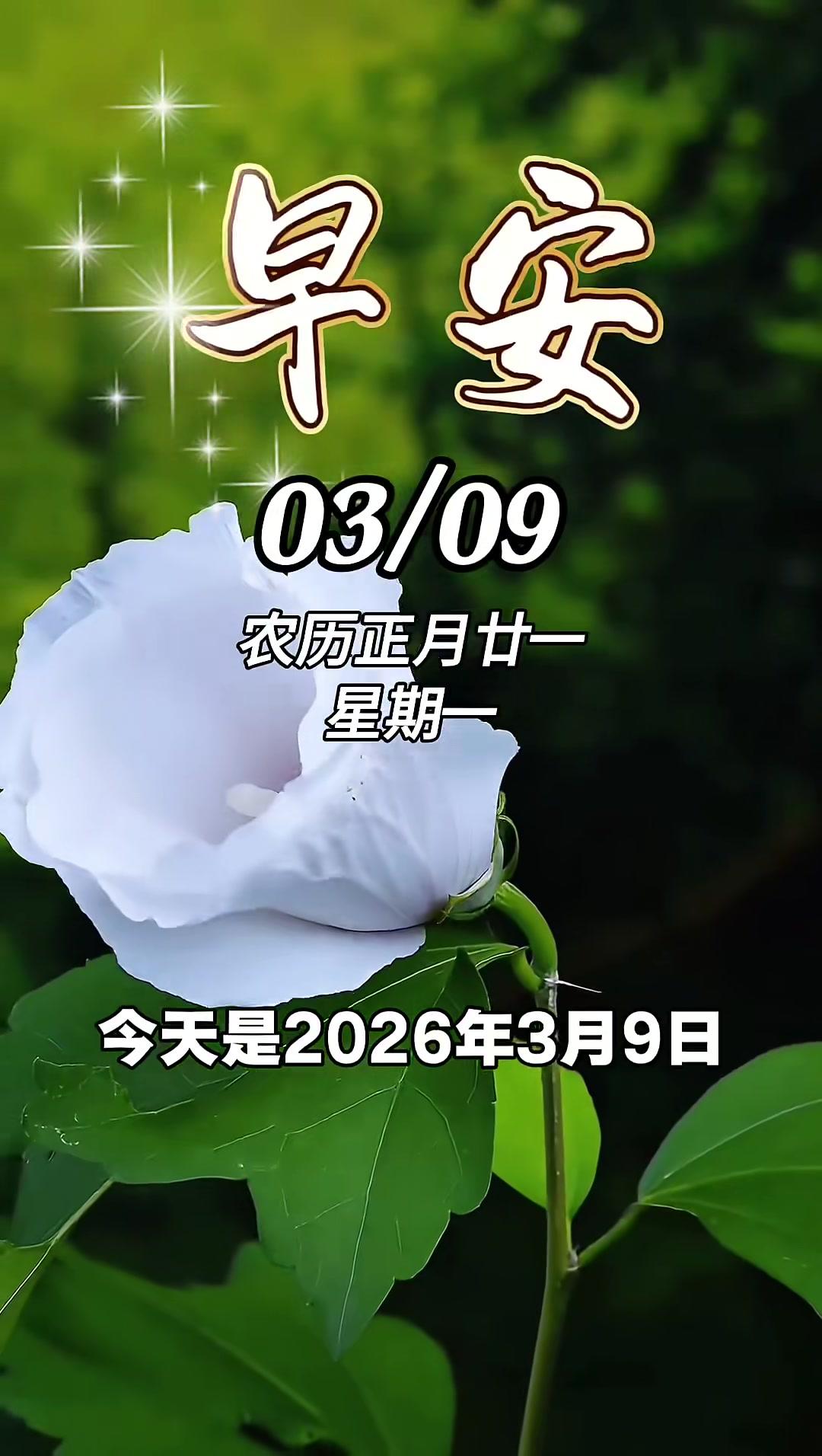 今天是2026年3月9日,星期一,新的一天,向阳而生,不必追赶光芒,自有万丈光芒,早安,愿
