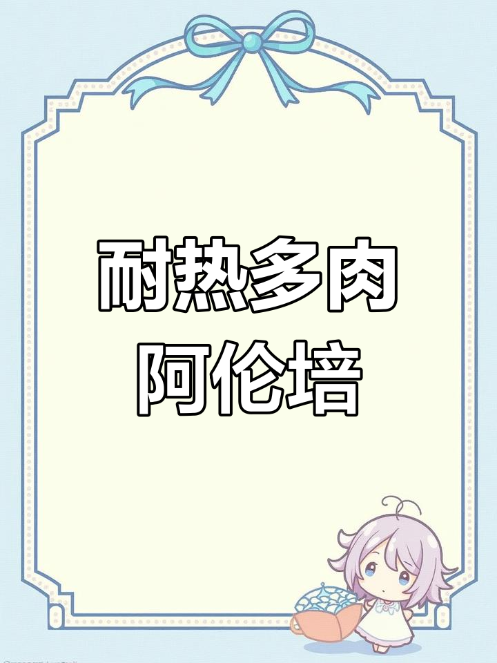 阿伦培:夏季高温也能轻松养的多肉品种