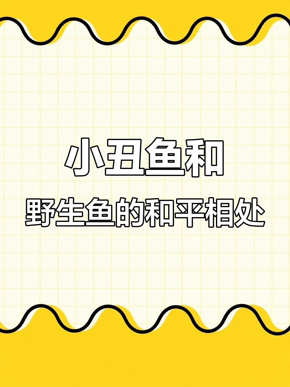 熊猫小丑鱼与野生鱼类和谐共处,海缸中的奇妙生态