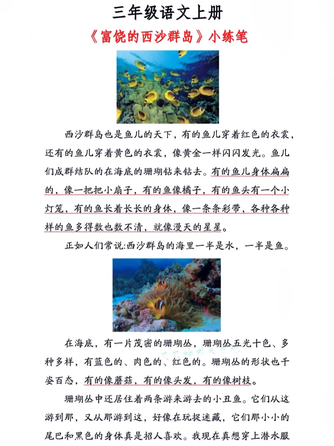 三年级语文上册《富饶的西沙群岛》小练笔仿写