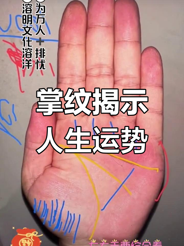 手相揭秘:事业与财运的起伏