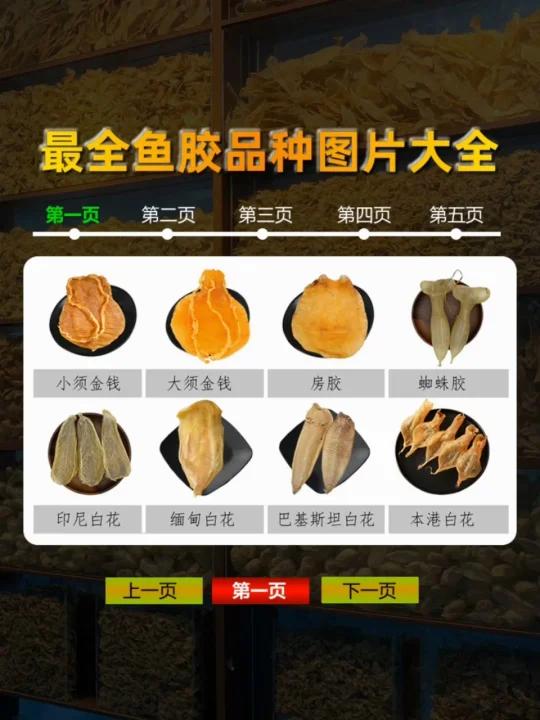 最全鱼胶品种及图片大全