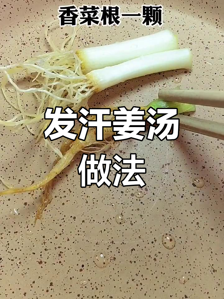 冬季感冒必备姜汤,葱白香菜一起熬