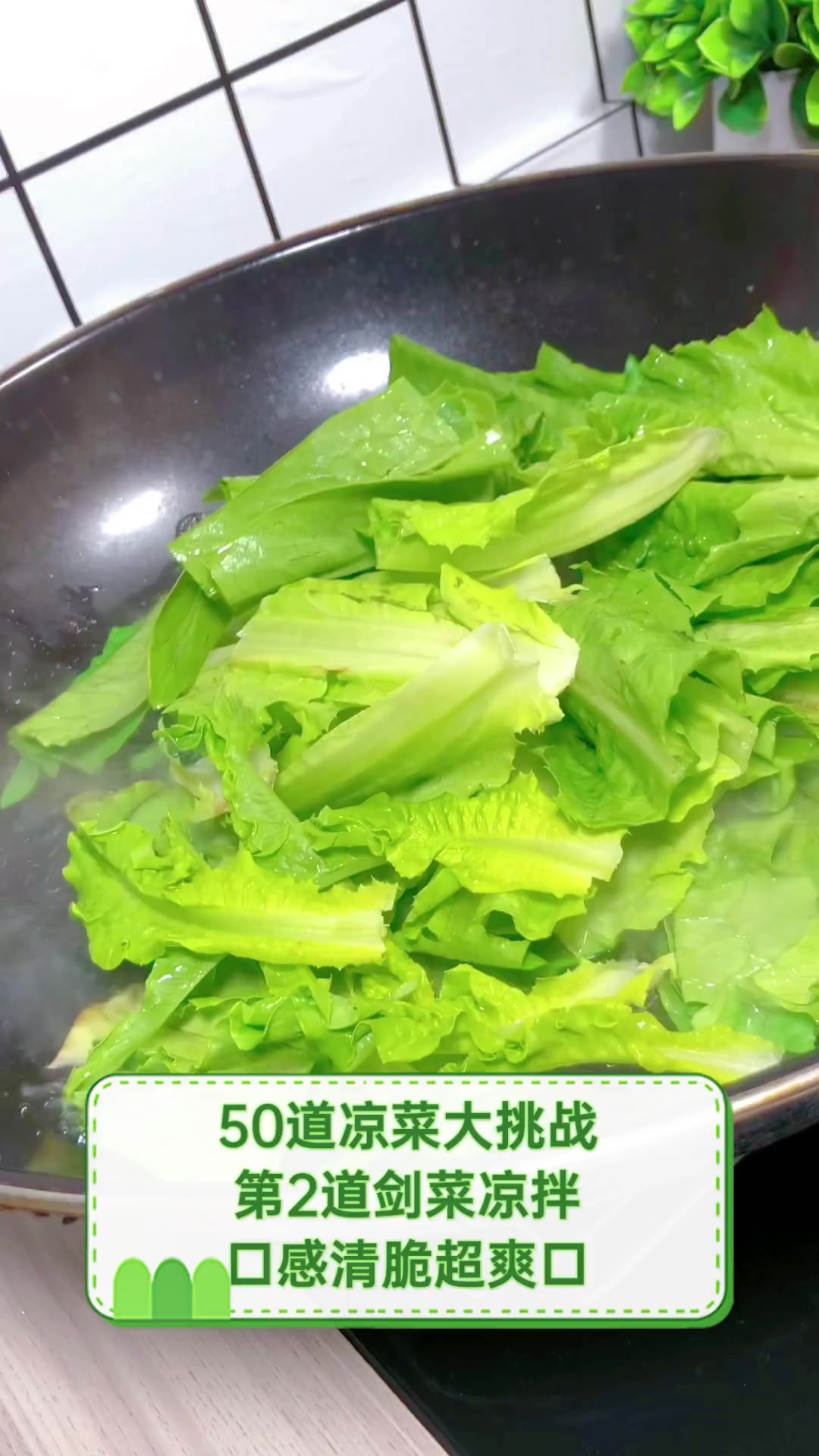 50道凉菜大挑战,第2道剑菜凉拌,口感清脆超爽口