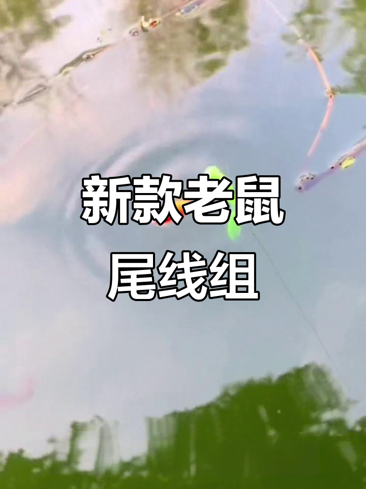 新型老鼠尾七星漂,钓鱼更轻松