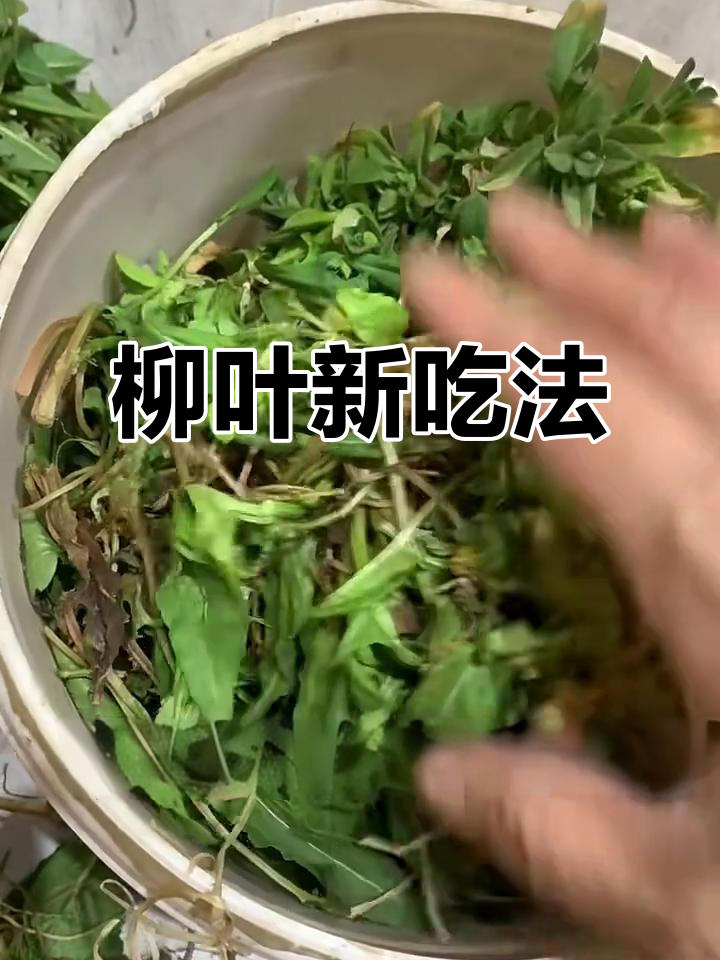 柳叶也能吃?试试这种做法,竟然这么美味!