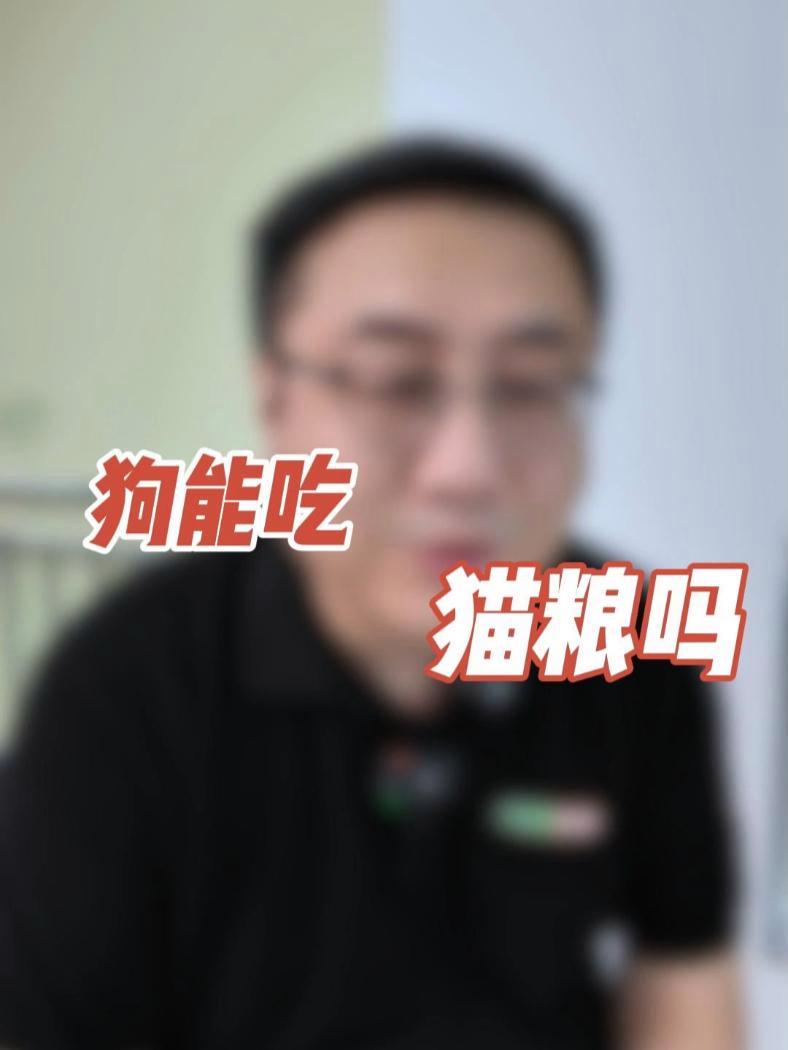 狗能吃猫粮吗?宠物 宠物营养师 科学养宠攻略 猫狗