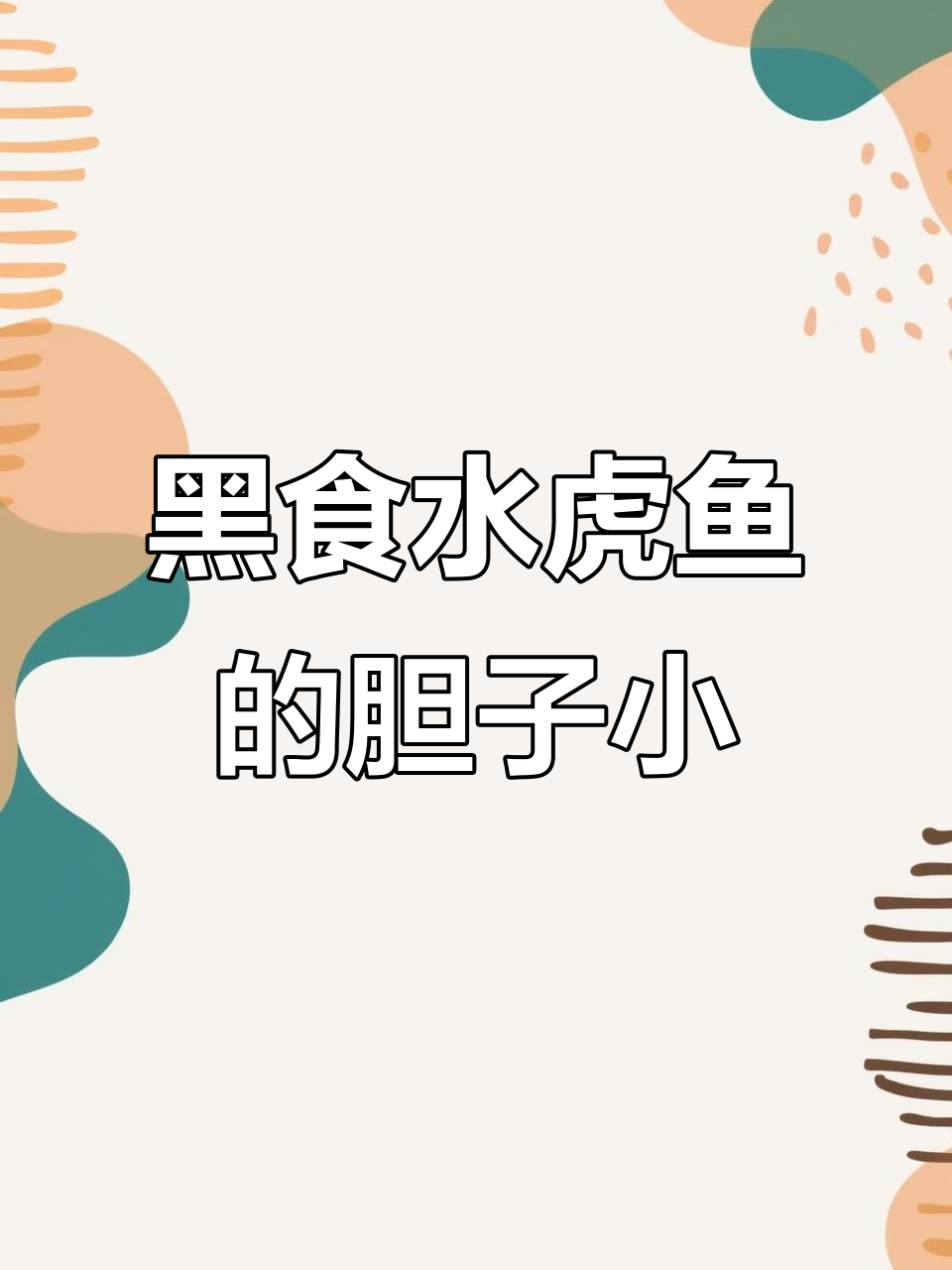 巴西黑食水虎鱼为何胆小怕人?揭秘它的性格特点