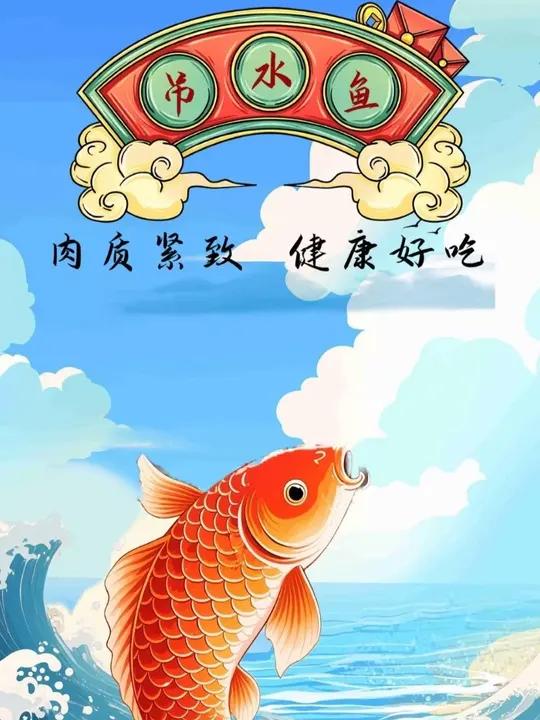 吊水鱼 什么是吊水鱼？今天我们来看看