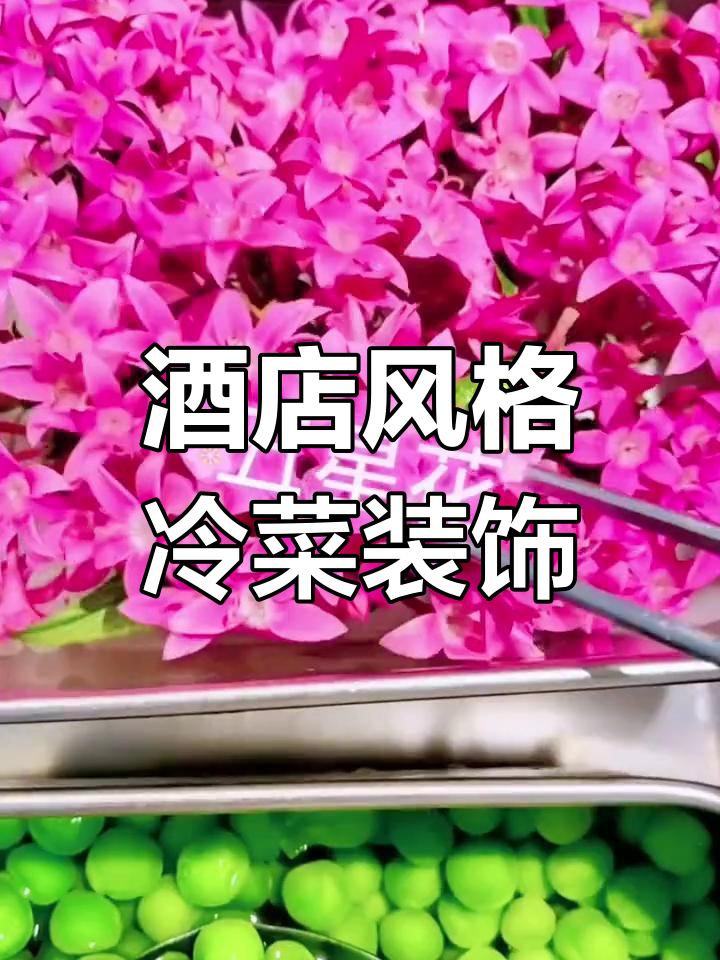 经典酒店凉菜摆盘技巧,提升餐桌仪式感