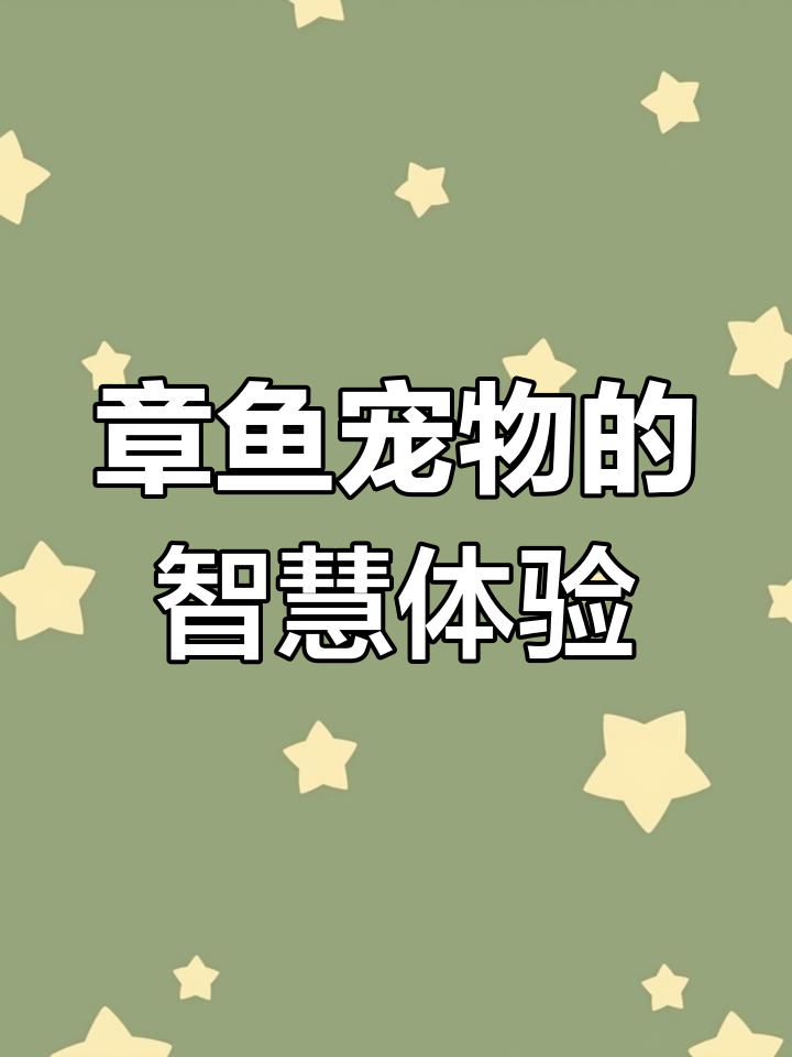 章鱼也能当宠物?小呆呆的聪明日常