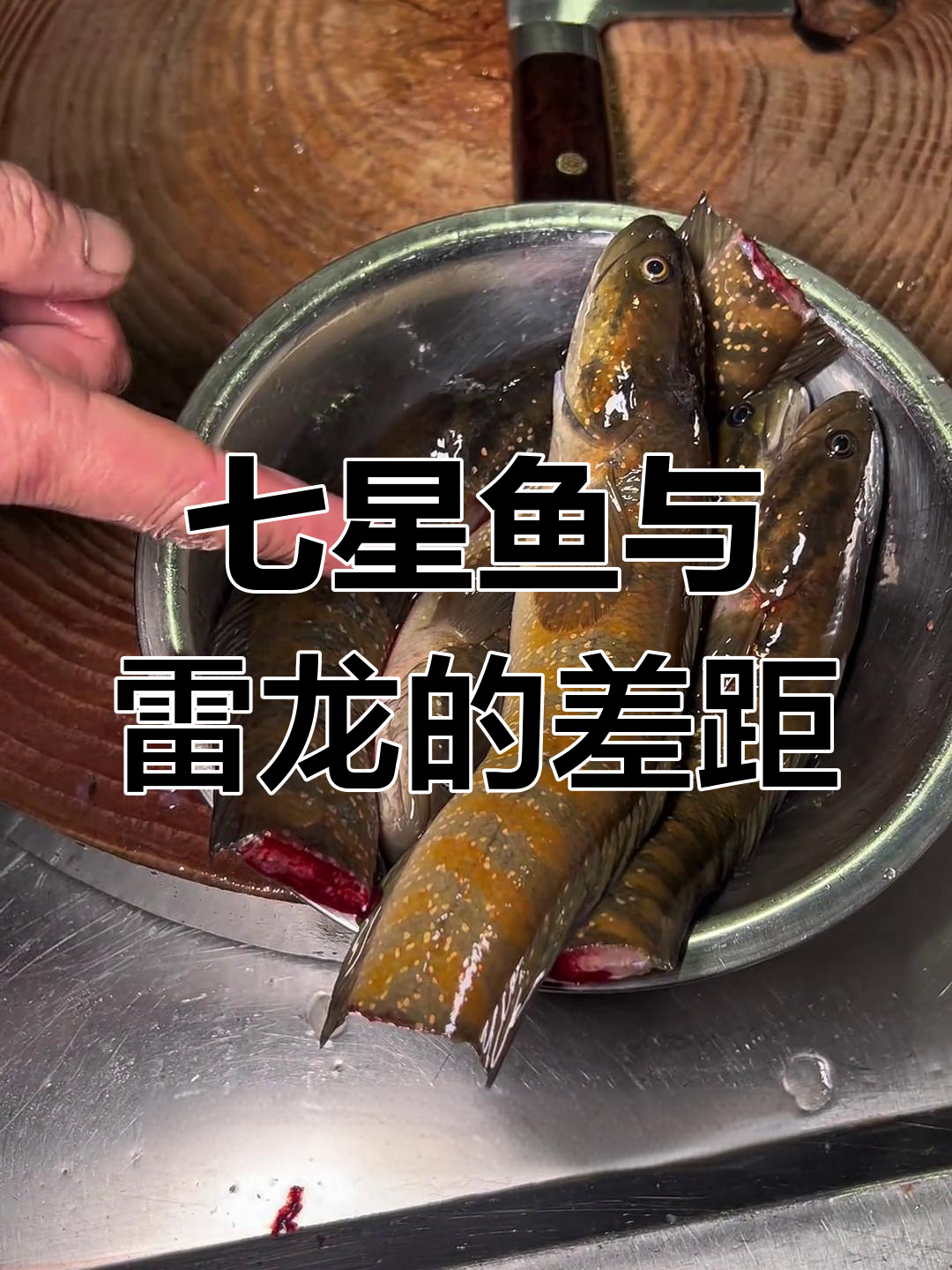 七星鱼做鱼生太奢侈,雷龙不敢碰!广西特色美食揭秘