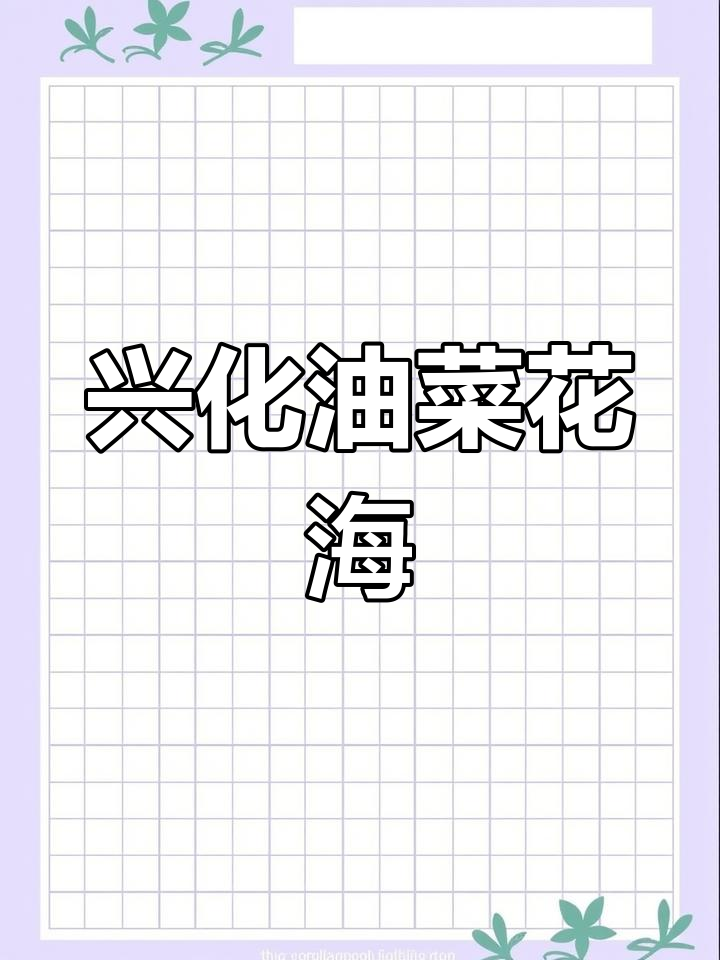 江苏兴化千垛油菜花海,水中小岛迷宫般的美丽