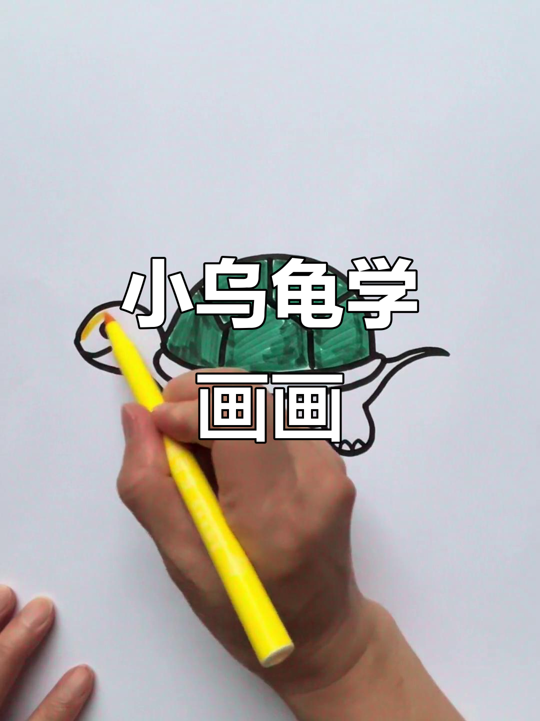 简单步骤教你画可爱乌龟,轻松学会小动物简笔画