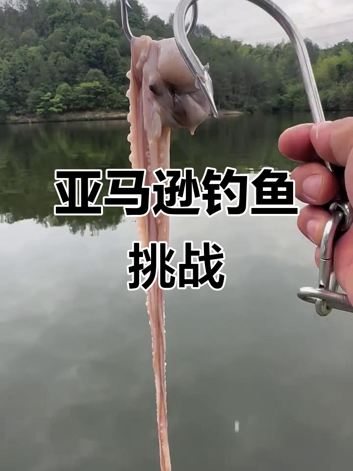 亚马逊巨骨蛇鱼钓捕,挑战200斤大怪兽