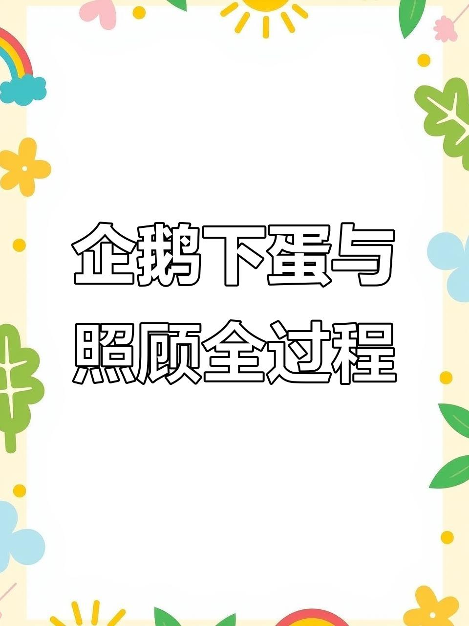 企鹅孵蛋生死时速，父亲守护孩子度过寒冷夜晚