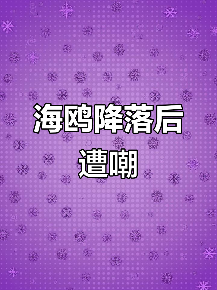 海鸥降落失败被同伴嘲笑,完美演绎“仰天长笑”