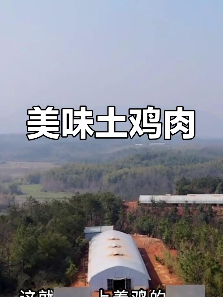 皖南土鸡,肉质鲜美,营养丰富,口感独特