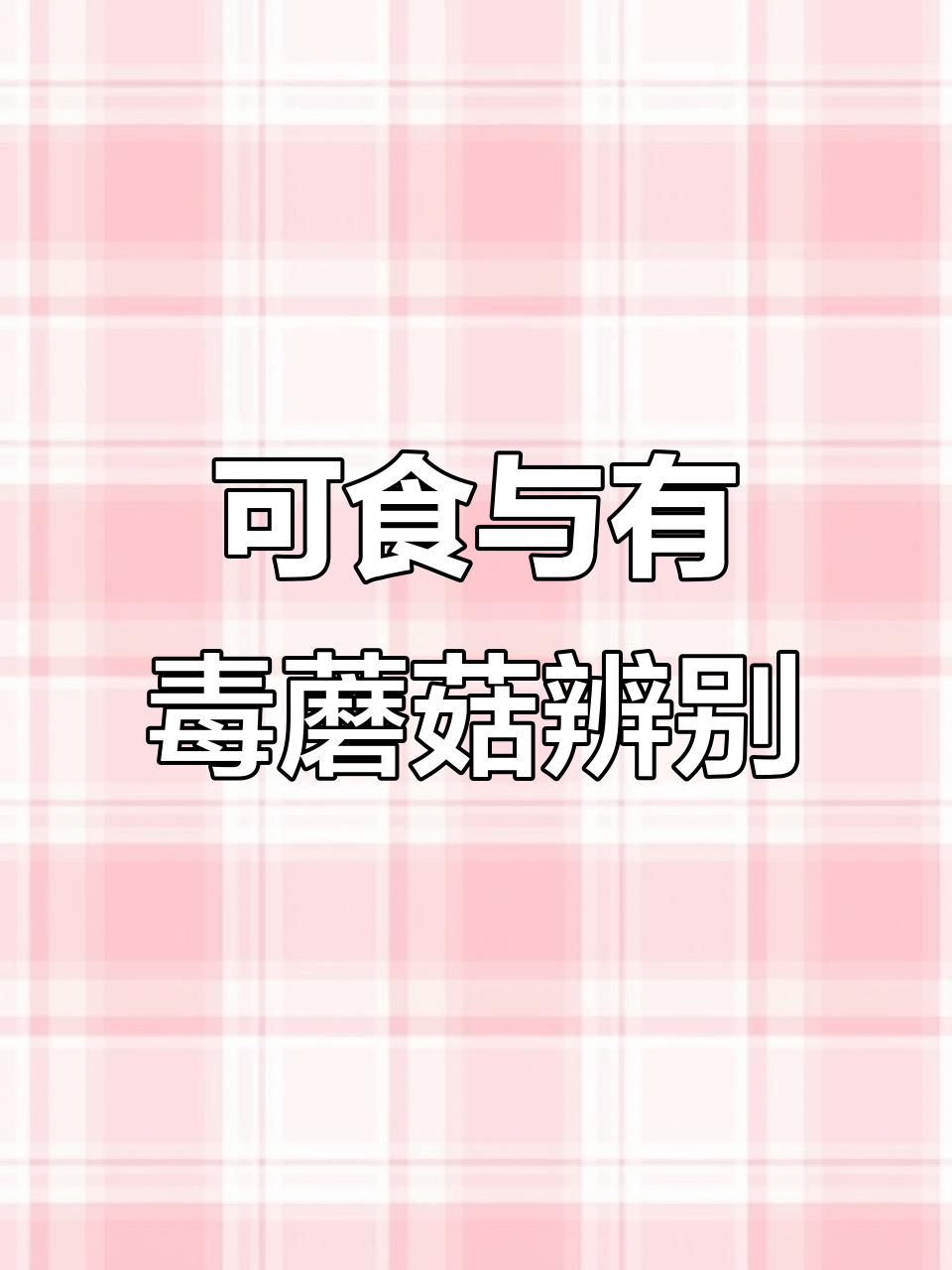 山东夏季常见蘑菇,拟橙盖鹅膏菌与剧毒黄盖的区别