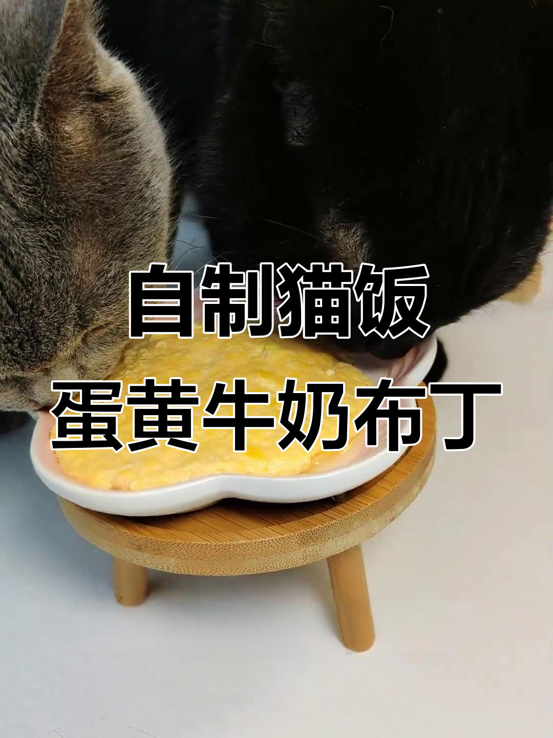 猫咪不吃蛋黄怎么办?试试这款奶香鸡蛋布丁,营养又美味
