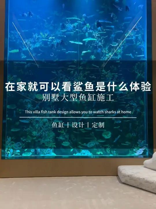 在家就能看鲨鱼,是什么体验?别墅大型鱼缸 别墅鱼缸 鱼缸定制 大型鱼缸制作 鱼缸设计 鱼缸