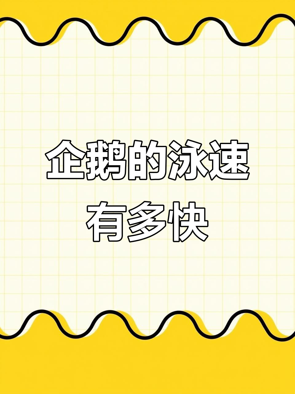 企鹅游泳速度大揭秘,帝企鹅能游多远?