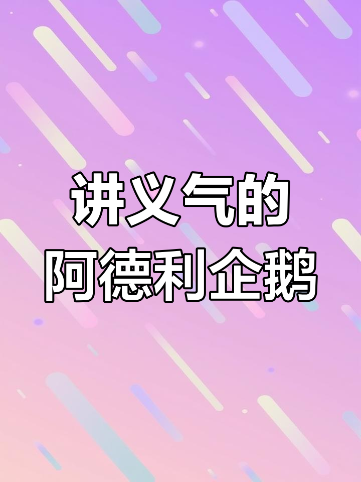 阿德利企鹅的兄弟情:为了捕食,它们能互相踢飞
