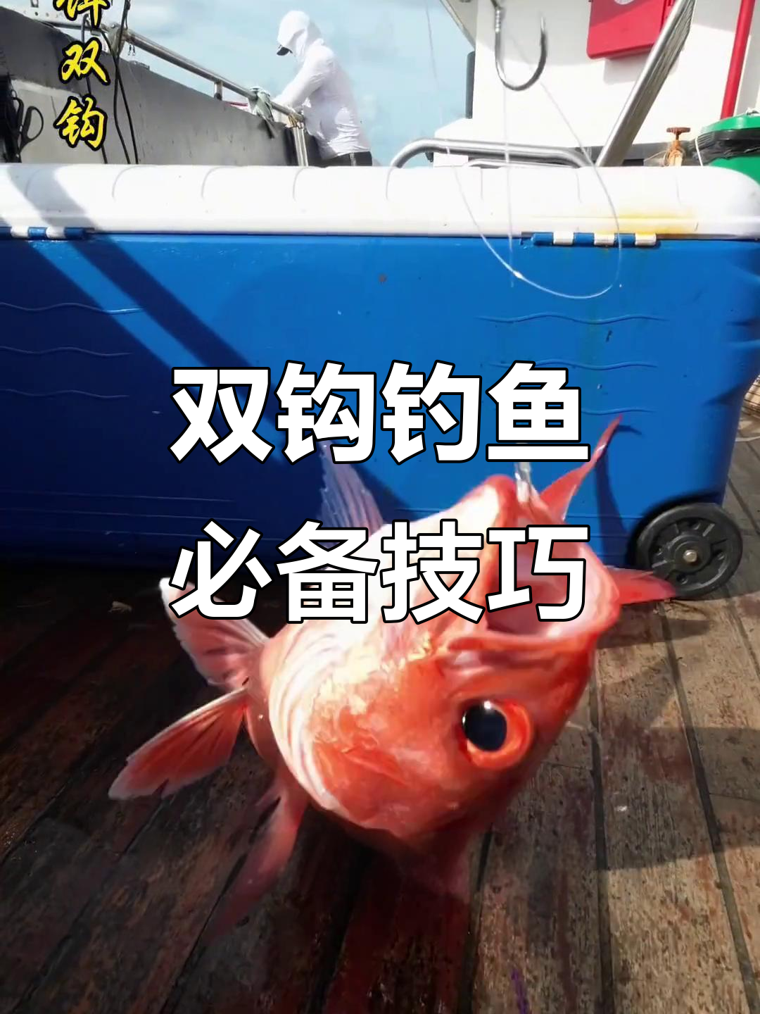 双钩钓大鱼技巧，活饵绑法全解析