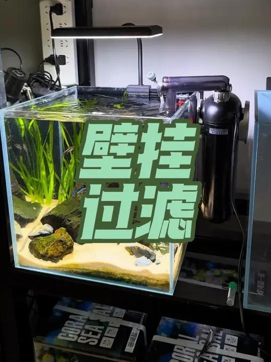 好用的壁挂过滤 上镜s系列壁挂过滤器、质保三年、停电免加水#用照片证明你也是养鱼人 #水族