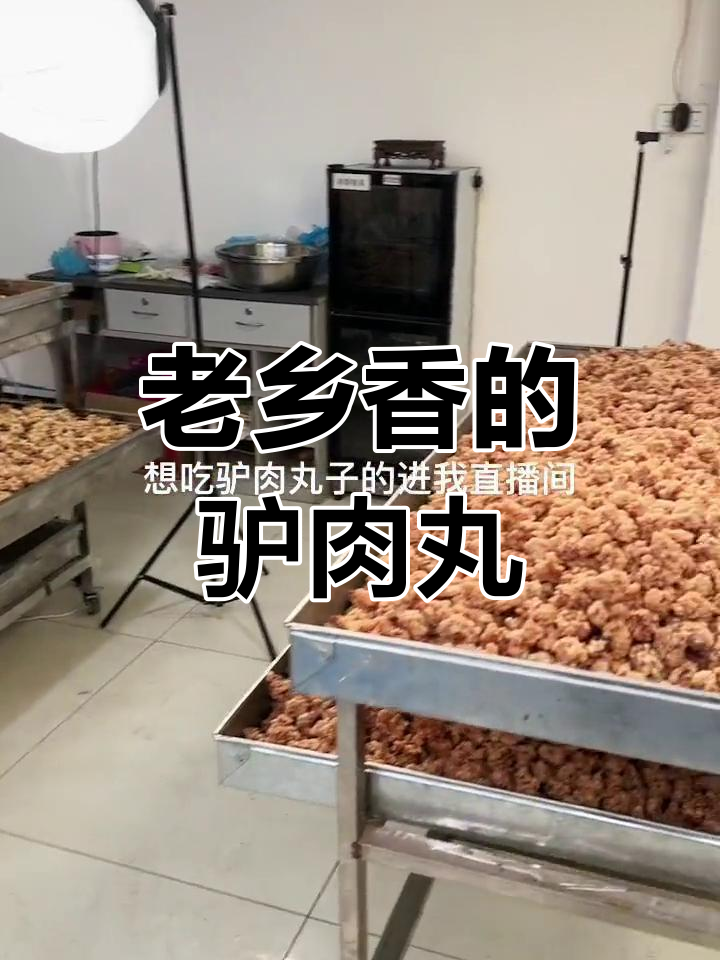 纯手工驴肉丸,香脆美味