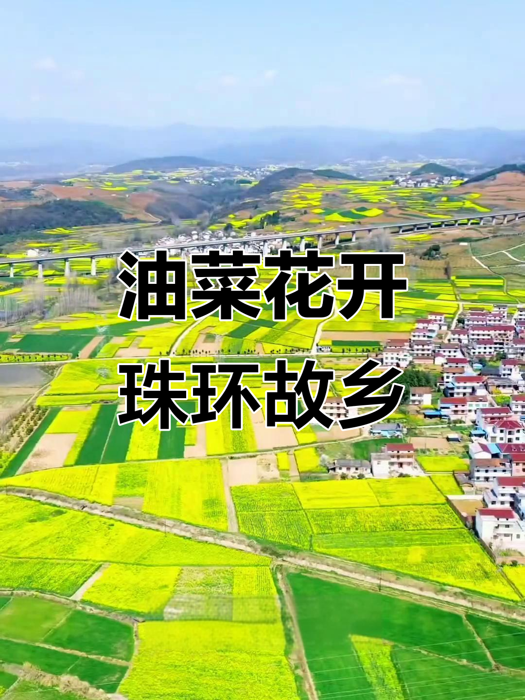 汉中洋县油菜花海与朱环的美丽邂逅