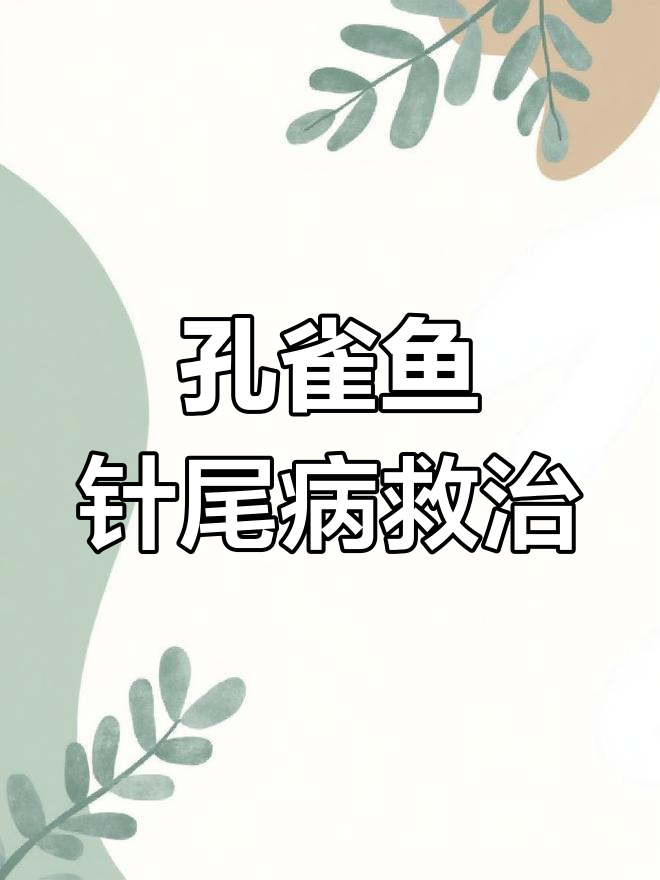 孔雀鱼缩尾初期治疗,盐分控制效果显著
