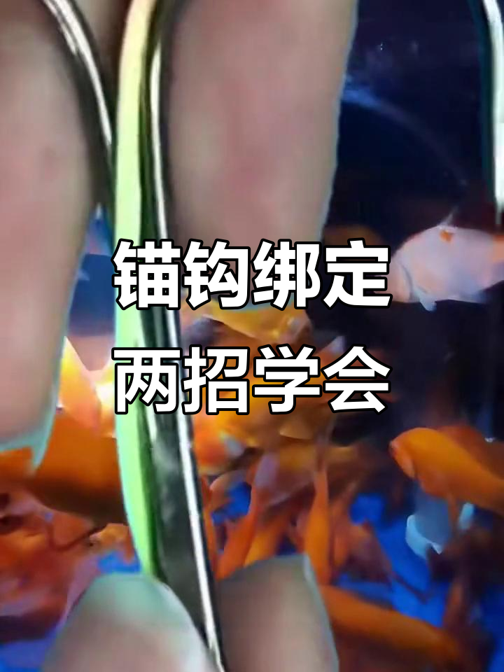 锚钩绑法全解析:两种技巧轻松搞定