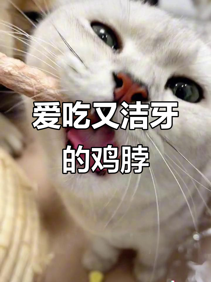 冻干鸡脖，猫咪狗狗爱不释口！天然牙刷帮你清洁牙齿