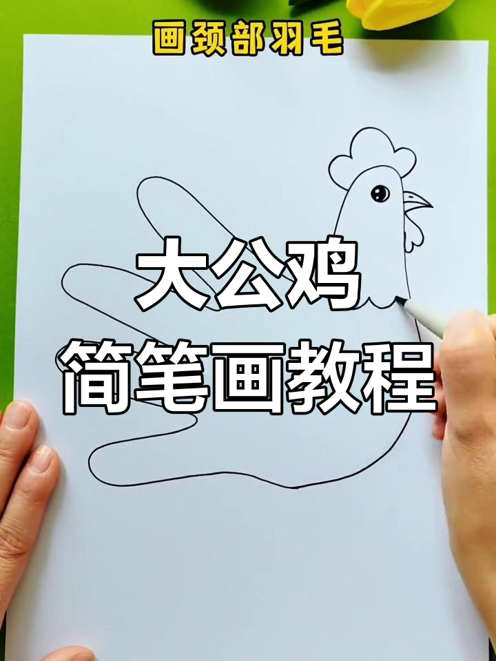 简单步骤教你画大公鸡,轻松学会卡通小鸡